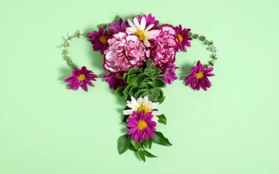Navigating Menopause with Acupuncture