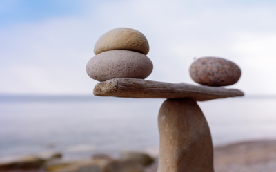 Mineral & Heavy Metal Testing: How it Supports your Nutrition