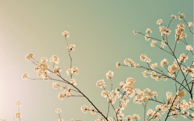 Spring in TCM: Renewal, Growth & Balance