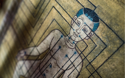 Common Acupuncture Myths (and the truth behind them)